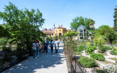 Convegno “Il patrimonio termale euganeo”: mercoledì 9 settembre ore 18.30 all’Orto Botanico di Padova