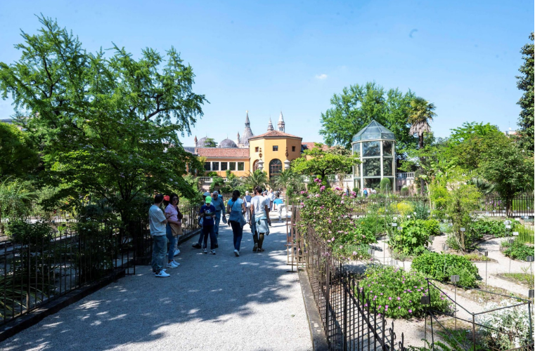 Convegno “Il patrimonio termale euganeo”: mercoledì 9 settembre ore 18.30 all’Orto Botanico di Padova