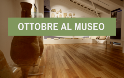 Ottobre 2026 al Museo del termalismo antico e del territorio